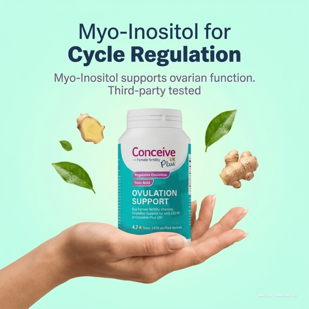 Ovulation Tracking: The Complete Guide to Identifying Your Fertile Window - Conceive Plus® Europe